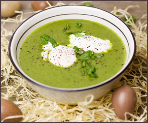 家庭で受験できるスープ資格